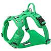 Truelove TRUE LOVE Pettorina per cani No Pull Regolabile Riflettente Step-in Morbido Nylon Per Piccolo Grande Animale Domestico TLH56512 (M, Verde Erba)