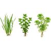 Generico Set 3 Piante Vere Acquario: Vallisneria, Bacopa, Cabomba - Kit Piante Vive per Pesci d'Acqua Dolce, Facili da Coltivare e Ideali per Principianti in Ogni Acquario