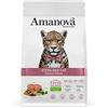 Amanova Cibo Secco Super Premium per Gatti sterilizzati Gusto Salmone - 100% Naturale, ipoallergenico e monoproteico - Cruelty Free - Formato da 300 Grammi