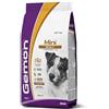 Generico GEMON Cane Mini Adult con Pollo e Riso | alimento secco completo per cani adulti di tutte le razze di taglia mini, altamente digeribile, Made in Italy, monoproteico, 1 confezione da 3kg.