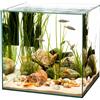 AquariumLine Cube - Acquario Cubico in Vetro Float per Acqua Dolce - Varie Misure 20-30 - 40 - Design Minimal Vasca Senza Cornici per Nano Acquari, Piante,Caridine e Aquascaping (25x25x30H)
