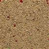 Il Contadino - Antichi Sapori Il Contadino - Antichi Becchimi | MISCUGLIO per PAPPAGALLI e COCORITE | Formula Ricca di Semi Selezionati Adatta per Tutto L'Anno, No OGM, 100% Vegetale, Assenza di scarti. qualità Superiore (20 kg)