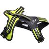 Axaeco Pettorina 4 Season Power (M)