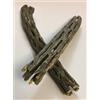 Catappa-Leaves Decorazione naturale per acquari e terrari 2 pezzi Cholla Cactus legno ~ 15 mm Ø x 150 mm di lunghezza