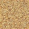 Il Contadino - Antichi Becchimi | AVENA DECORTICATA AD USO ZOOTECNICO | Essenza di semi Selezionati e Super Ventilati, No OGM, 100% Vegetale, Assenza di scarti. Qualità Superiore (20 Kg)