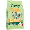 Generico Oasy Cane Crocchette Adult Small/Mini Pollo 2kg, alimento completo per cani adulti di taglia piccola e mini gusto Pollo, confezione da 2 chilogrammi, 2Kg.
