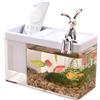 Generic Basta di pesce Betta - Piccola ciotola per display acquatico, contenitore habitat di granchio | Vessel di configurazione dei gamberi, unità di organizzatore di serbatoi mini trasparente, struttu