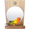 Generico Bird Mirror - Giochi per Pappagalli Trespolo con Specchio - Giocattolo Interattivo con Altalena e Trespolo, per Esercizio Fisico per Pappagallini Cocorite Calopsitte Canarini Conuri