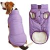 FANSU Invernale Vestiti per Cani, Antivento Giubbotto Cane, Vestito Cane Caldo e Morbido, Giacca Cozy Foderato in Pile Antivento Inverno per Cani Gatto (L,Viola Taro)