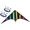 Wswqop Aquilone Acrobatico Triangolare Adulto con Doppio Filo 1.2m Poliestere FRP Durevole Facile da Pilotare Adatto per Sport Outdoor E Tempo Libero, Stile D