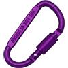 Myazs Moschettone D-Ring Portachiavi Clip per Arrampicata, Alluminio, Viola