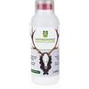 Eurohunt Detergente per trofei, 100 ml
