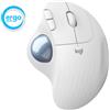 Logitech Mouse Logitech Ergo M575 per Business Trackball grigio chiaro/blu [910-006438]