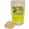 ERASVITAL Polline di pino, 250 g, raccolta spontanea, parete cellulare rotta al 99%, testato in laboratorio tedesco contro la presenza di sostanze nocive