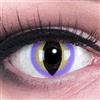 MeralenS Funnylens Lenti a contatto porpora con porta lenti a contatto Purple Dragon Anime, Vampiro, morbide comode da indossare e ideali per Halloween o Carnevale senza correzione