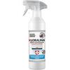 Generic SET DA 2 KLORALINA SPRAY IGIENIZZANTE E DETERGENTE CLIMATIZZATORE