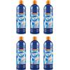 Generico Rio Azzurro Wc Disincrostante 750 ml Confezione Da 6 Pezzi