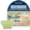 YANKEE CANDLE Tart Da Fondere Sage&citrus