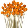RUGBOL 45 fiori secchi di fragola, decorazione fai da te con spighe di grano naturali, mazzo di erba secca, per composizioni floreali fai da te per la tua casa, camera da letto e soggiorno (arancione)