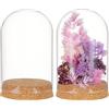 BENECREAT 2 Set Cupola Espositiva In Vetro con Base In Sughero, Centrotavola Da Tavolo con Campana A Cloche Da 80x117.5 mm per Piante Da Fiore, Esemplari, Diametro Interno: 76mm