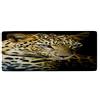 A.Monamour Tappetino per Il Bagno Antiscivolo Assorbente Morbido Tema Animale Ritratto Leopardo Lavabile Tappeto Tappetini Doccia Passatoia da Cucina Zerbino Tappeti Cameretta 40x120cm