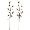 TONIXY Steli di cotone essiccato, fiori tamponi di cotone rami secchi 58 cm con steli flessibili per decorazioni rustiche per soggiorno