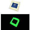 Resin Pro® UN Pigmento A BASE BIANCA additivo polvere luminescente fosforescente che si illumina al buio (VERDE 20g)