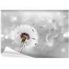 decomonkey Carta da Parati Dente di Leone 300x210 cm - Fiore Rosa/Dandelion, Stile Boho Naturale, Decorazione Murale Soggiorno Camera da Letto - Facile manutenzione, resistente - 6 pz