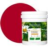 BOX DECO COULEURS Vernice naturale ecologica per interni esterni, effetto velluto Natura - 1 L / 13 m² [Classe energetica A+], rosso rubino