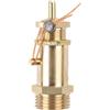 Floweringbeter Valvola di sicurezza per compressore d'aria, ottone rame 1/2 pollice per BSP per rilascio di pressione controllato (1/2 (1/2 (12 kg)