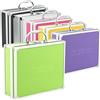 ECI AR Carry Box® - Valigetta piccola in alluminio, 260 x 210 x 80 mm, colore: Verde