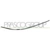 PRASCO ME6421245 Modanatura paraurti anteriore Dx Compatibilità con MERCEDES-BENZ CLK C209