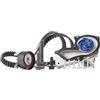 SKF VKMC 04226 Kit Tendicinghia con Pompa Acqua | Compatibile con: FORD B-MAX, C-MAX, C-MAX II, ECOSPORT, FIESTA V, FIESTA VI, FIESTA VI Van, FOCUS C-MAX, FOCUS II