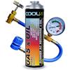 Cool5 - Kit di Riparazione condizionatore d'Aria - Sostituzione del refrigerante Olio (Sostituzione del Gas R134a) per Auto dal 1995 al 2016 - Alta efficienza (Auto 2 in 1 290 g R134a 1995 - 2016