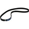 DAYCO CA94256 CINGHIA ISORAN COM.DISTR.CITROEN AX 1.4