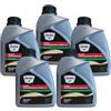 Generico FUCHS SINCLAIR OLIO LUBRIFICANTE SAE 0W30 ACEA C2 PER MOTORI DIESEL, BENZINA ED IBRIDI TOTALMENTE SINTETICO. DYNO PERFORMANCE ULTRA C2. CONFEZIONE : KIT PROMOZIONE 5 LITRI
