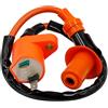 Road Passion bobina di accensione per Honda XL600 XL600R Dual Sport 1983-1987,XR200R 1984-1988 1990 1991 1993-2002,XR250L 1991-1996