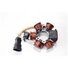 Guasti Srl STATORE ORIGINALE PIAGGIO NRG POWER-LX 2T-LIBERTY '06
