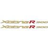 labelbike - 2 Adesivi 3D Moto Scooter Scritta XCITING R 300 in Resina compatibile con KYMCO XCITING R 300