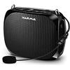 Karma BM 539 Amplificatore portatile ad archetto