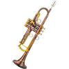 KWETVSH Tromba Sib Professionale In Ottone Antico Con Custodia Tromba Professionale