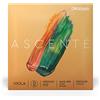 D'Addario Ascenté - Corda Re per viola, scala media, tensione media