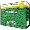 Dichondra Repens 1Kg - Bottos