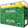 Dichondra Repens 500 gr - Bottos