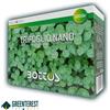 Trifoglio Repens nano - Bottos