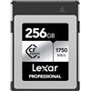 Lexar CFexpress Professional 256GB, Tipo B, 1000MB/s, per registrare video 4k, Serie Silver, Grigio