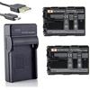 DSTE NP-FM500H Li-ION - Batteria (2-Pack) e caricatore USB per Sony A57, A58, A65, A65V, A77, A77V, A99