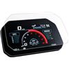 Speedo Angels Pellicola protettiva per cruscotto compatibile con R1300RS (2025-), 2 pellicole ultra trasparenti