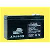 ALCAPOWER Pila batteria Ricaricabile Ermetica 12V 10Ah - (mm) 151x65x94(h) 204036 Alcapower