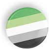 Generic Aromantic Pride Flag Un Romantico Orgoglio perno o calamita da frigo LGBT LGBTQ LGBTQI LGBTQIA